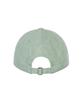Taibseobiseu Typeservice Web Cap [Light Green]