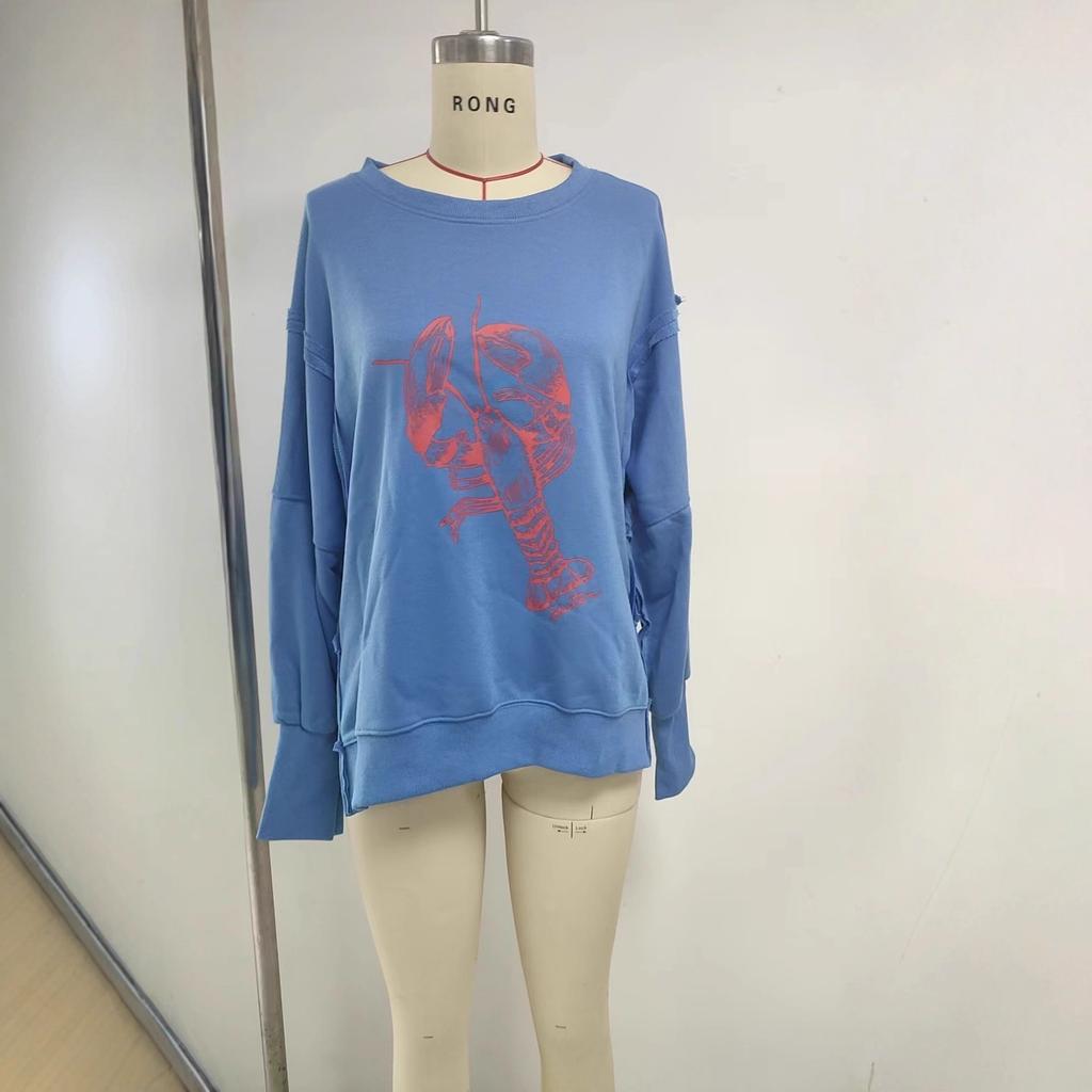 Women's Crew Neck Long Sleeve Loose Fit Graphic Sweatshirt Printed Pullover Streetwear Top