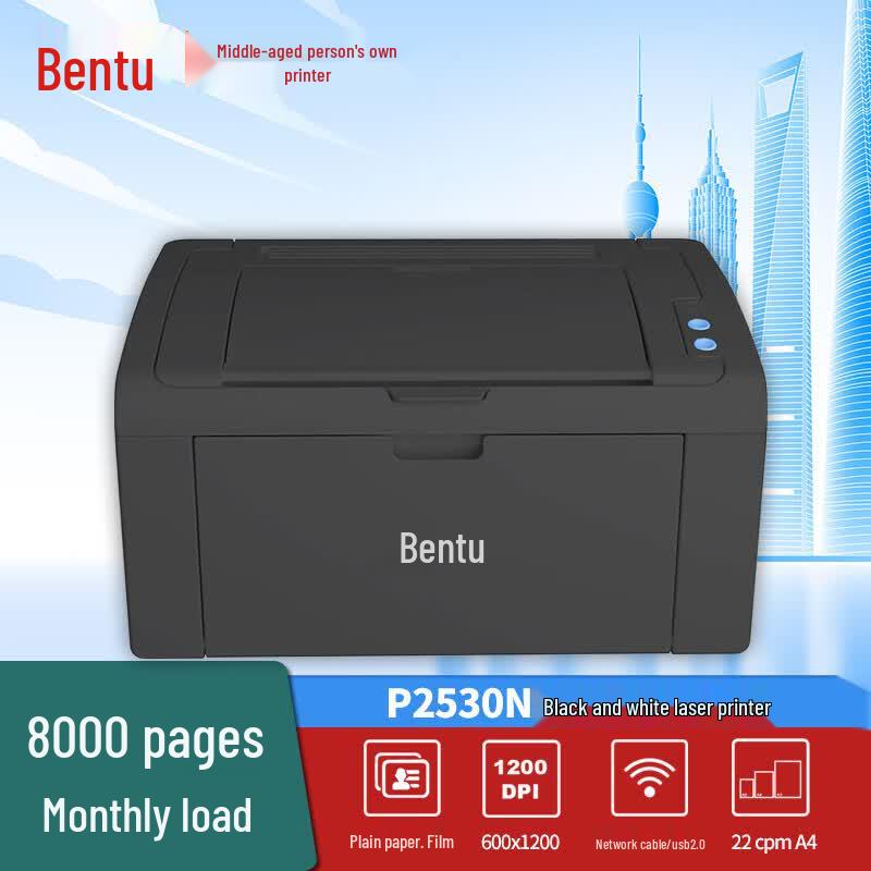 Pantum P2530N Black and White Laser Printer CN Plug (adapter Included)