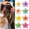 Set of 8 Hair Clips - Unspecified - Floral Pattern - Non-slip - Multicolored - For Women