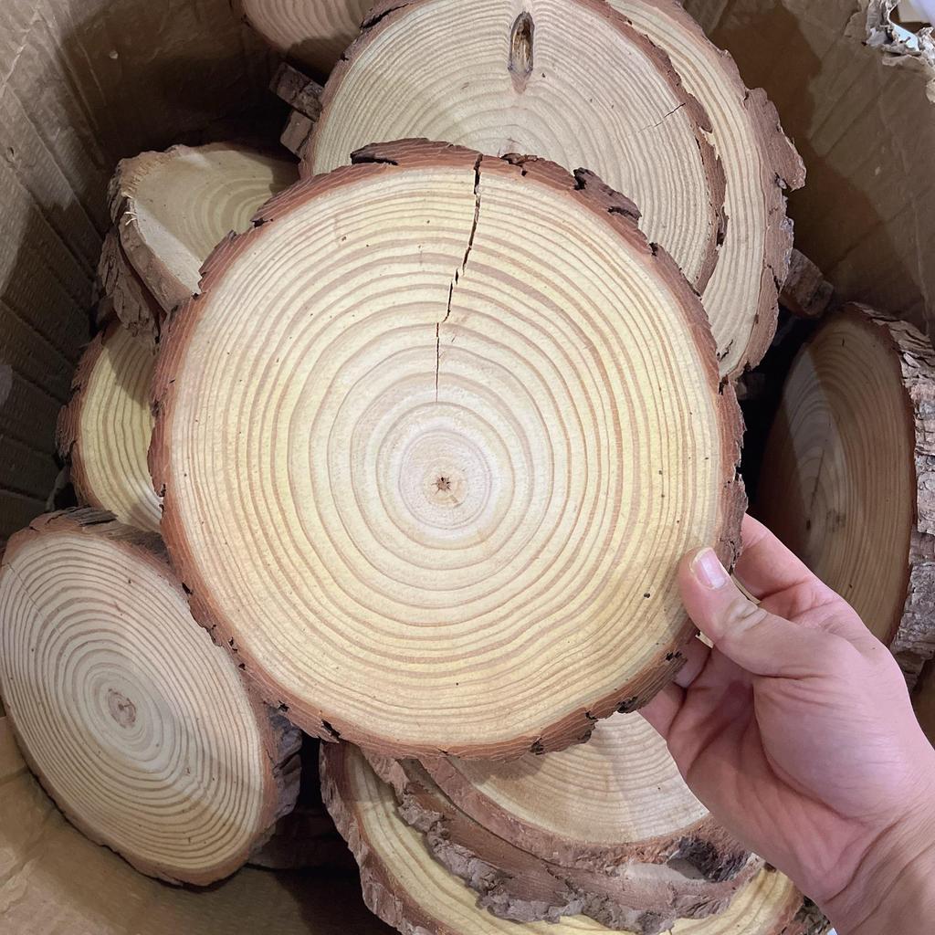 DIY Hand-Painted Wooden Slices for Crafts and Kindergarten Decor – Small Natural Wood Pieces with Growth Rings