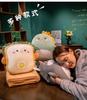 Cartoon 2-in-1 Cushion & Blanket: Dual-Use Hand Warmer, Leg Cover, Nap Pillow Doll for Office
