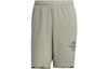 Casual Shorts Men's Pebble Silver Gray IP3933