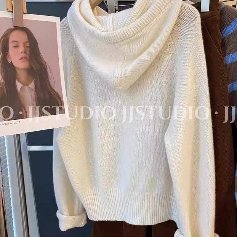 Shop Owner's Favorite: Korean Dongdaemun Chic Hooded Wool Knit Sweater for Women
