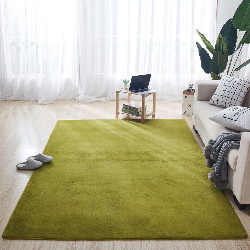 Thickened Coral Velvet Carpet Floor Mat Door Mat Door Entry Living Room Bedroom Bathroom Toilet Kitchen Absorbent Foot Mat