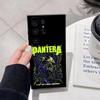 Pantera Ritual Metal Band Phone Case For Samsung S26 Ultra S25 Edge Ultra S23 S22 S21 S20 Ultra Plus S24 Fe Cover