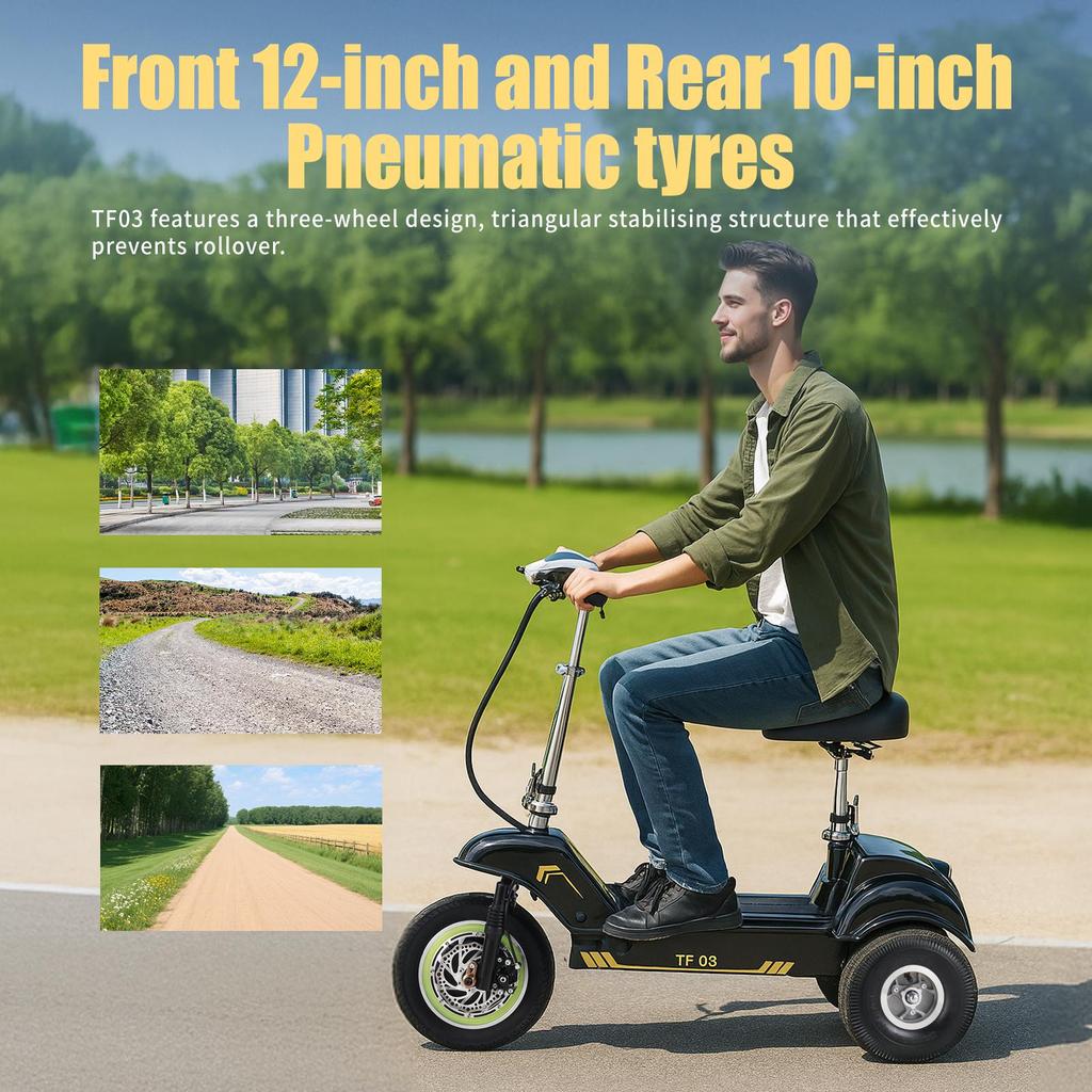 Three-wheeled Electric Scooter Twofish TF03 500W Motor 48V15Ah Battery 30km/h Max Speed 30km Max Range