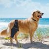 Cat Recovery Sleeve Reduces Pain Injury Recover Dog Support Brace Pet Knee Pads Legs Wrap