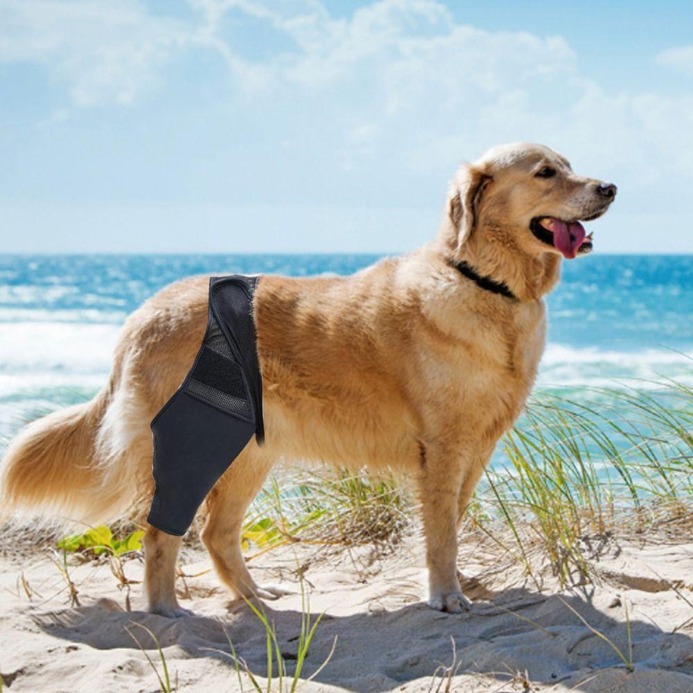 Cat Recovery Sleeve Reduces Pain Injury Recover Dog Support Brace Pet Knee Pads Legs Wrap