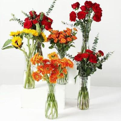 Vaso Nordico Trasparente in Plastica Contenitore per Composizioni Floreali Creativo Vasi per Fiori per Piante Idroponiche Decorazione per Casa Soggiorno Scrivania