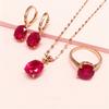 Pure Purple Gold Red Pomegranate Egg Noodle Set Chain Sweet High-End Colored Gold Gorgeous Necklace