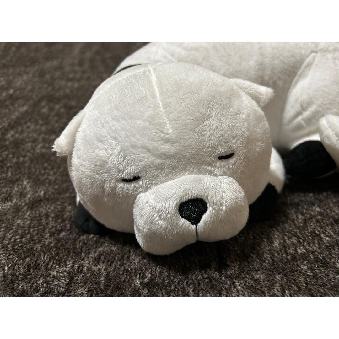 Used SPYFAMILY Bond stuffed toy acrylic stand set