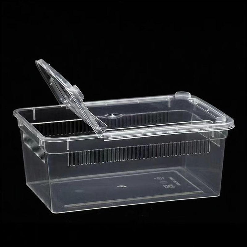 Premium Reptile Feeding Box For Small Pet Lizards Tortoises Snakes