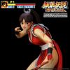 STUDIO24 THE KING OF Fatal Fury Mai Shiranui Damage 160mm PVC ABS Painted Complete Figure COLLECTORS'24 (HG Ver.) Approx. &