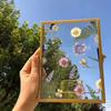 Photo Frame Display Transparent Glass Iron Support Tabletop Dried Flower Frame for Home Decorations 6 Inches