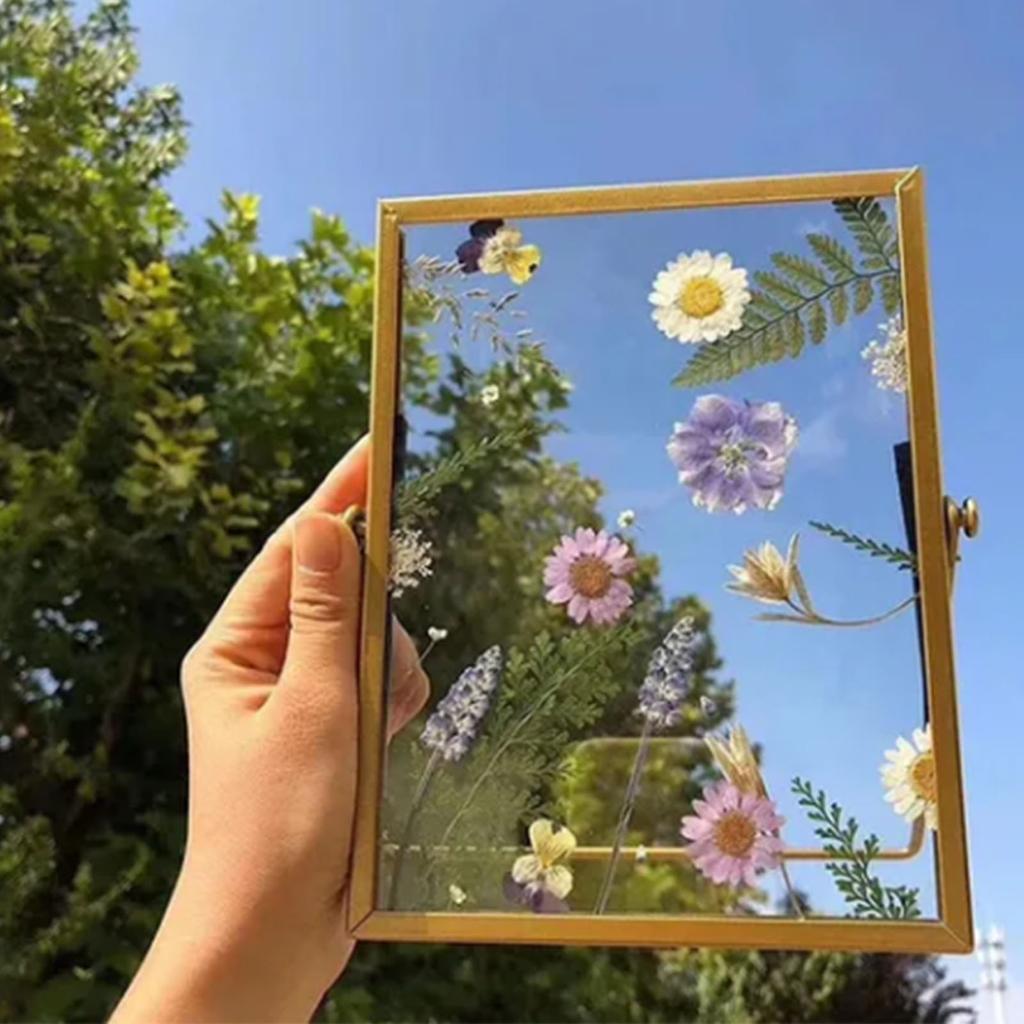 Photo Frame Display Transparent Glass Iron Support Tabletop Dried Flower Frame for Home Decorations 6 Inches