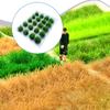 20 Touffes d'herbe miniatures Bricolage Maquette Chemin de fer Jardin de fées Diorama Décoration Nylon et résistant aux couleurs pour