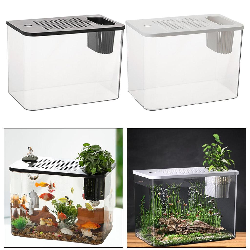 Reptile Tank Terrarium Desktop Breeding Tank Amphibian Feeding Box for Fish