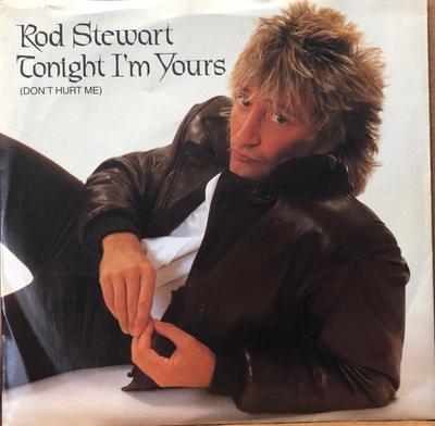7-Zoll Schallplatte ROD STEWART Tonight Im Yours Don't Hurt Me WBS49886 WARNER 1981 US Pop Gebraucht