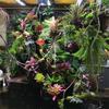 400Cm Hand-Woven Plush Pvc Rattan Household Decoration Artificial Plants Rainforest Landscaping Vines Climbing Pets Climbing Rattan