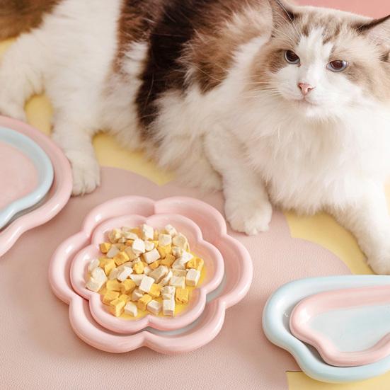 Ceramic Cats Feeding Bowl Whisker Friendly Kitten Food Dish Wide Shallow Pet Feeder