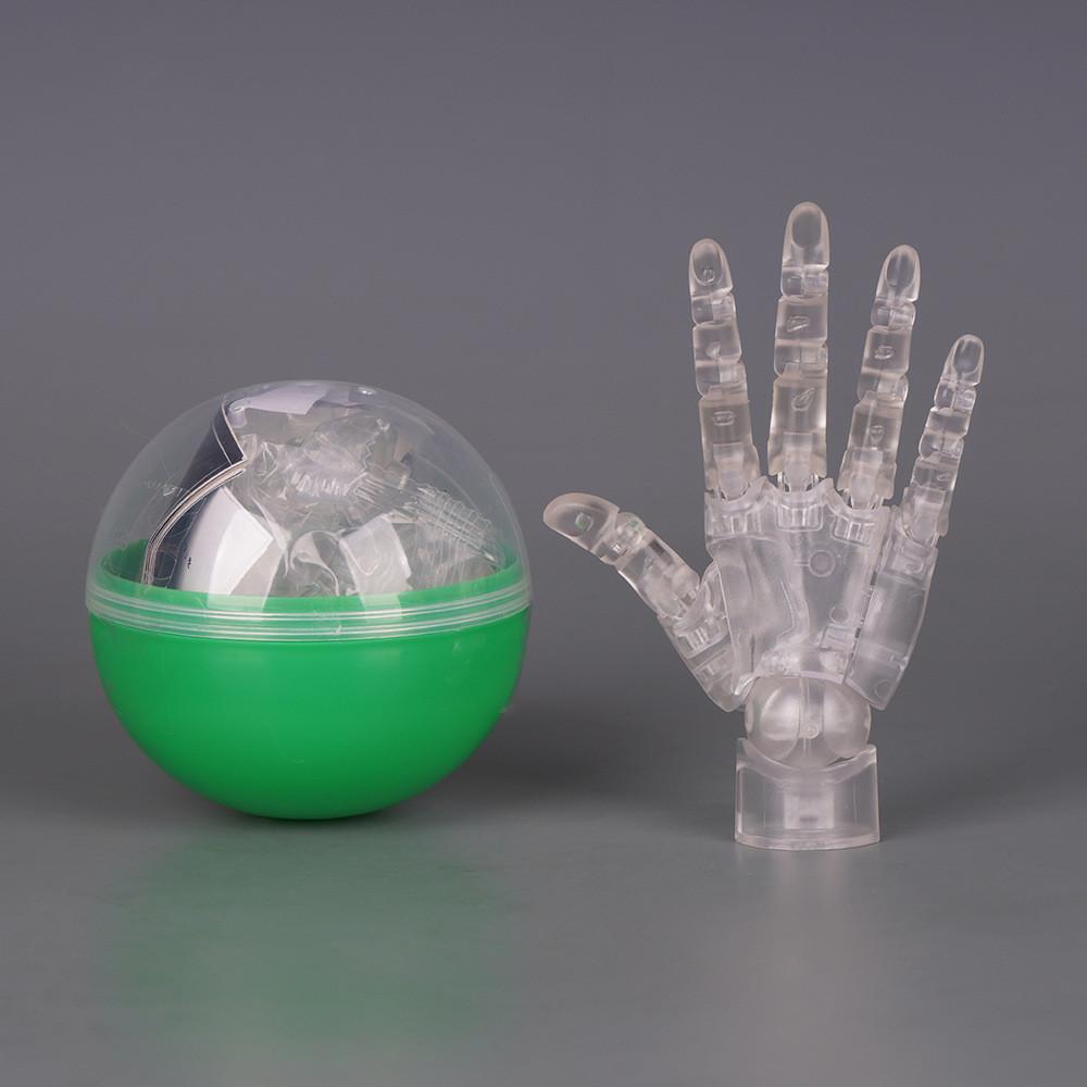 Pvc Hand Model With Flexible Joints For Art Practice And Illustration Transparent Right