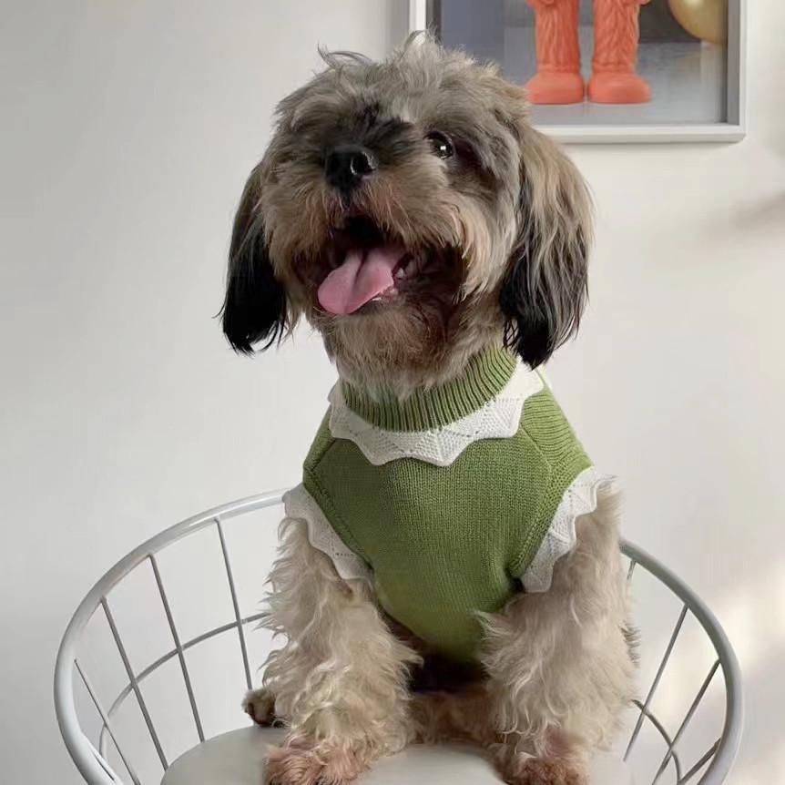 High Collar Vest for Small/Medium Dogs & Cats - Spring/Autumn Wear for Bichon, Corgi, Teddy, Butterfly, British Shorthair