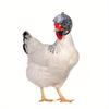 Helmet Chicken Pet Supplies Protection Chicken Hat Hamster Funny Headband Bird Toy Animal Headgear