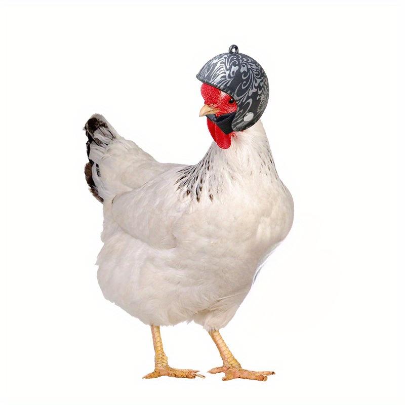 Helmet Chicken Pet Supplies Protection Chicken Hat Hamster Funny Headband Bird Toy Animal Headgear