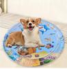 Douyin Cartoon Pet Inflatable Water Mat - Scratch-Resistant and Thickened for Cats