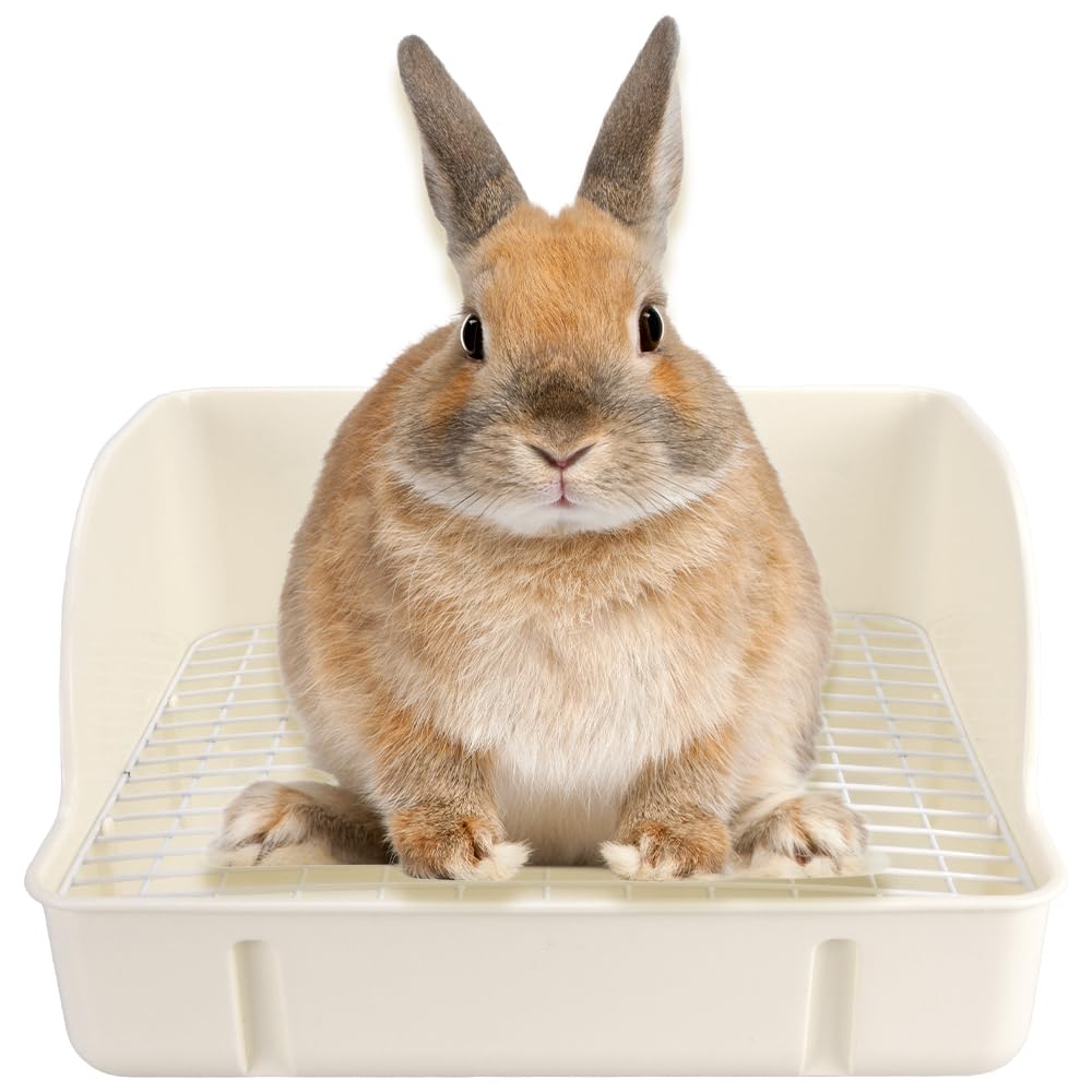 

Deep, Large Capacity Rabbit Toilet with Slatted Base and Splash Guard for Chinchillas and Pets - Prevents Bottom Soils