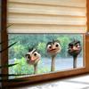 Static Cling Cartoon Ostrich Peeking Through Window Double Sided Same Color Glass Window Sticker Home Decor