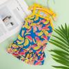 Spring/Summer Pet Suspender Dress for Dogs and Cats - Bichon & Teddy Print