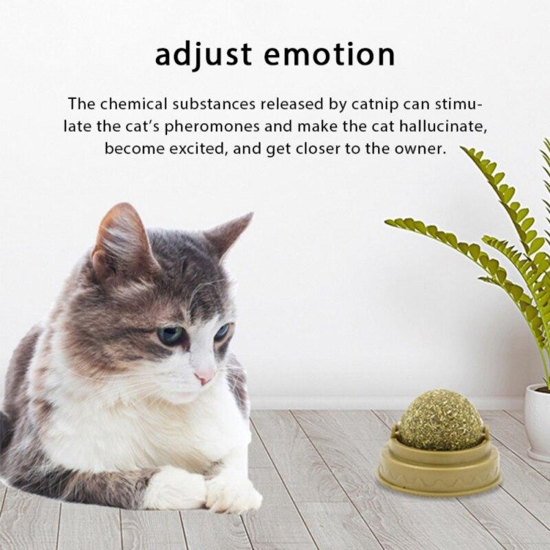 rotating cat mint ball