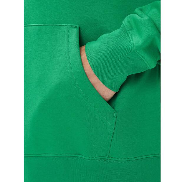 Nike Giannis Hoodie