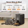 Stainless Steel Induction Pets Water Fountain Smart Pet Food Dispenser Tuya WIFI Rechargeable Automatic Feeder