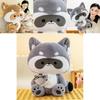 Schattig Raccoon Pluche Speelgoed Voor Meisjes Perfecte Metgezel Voor Bedtijd