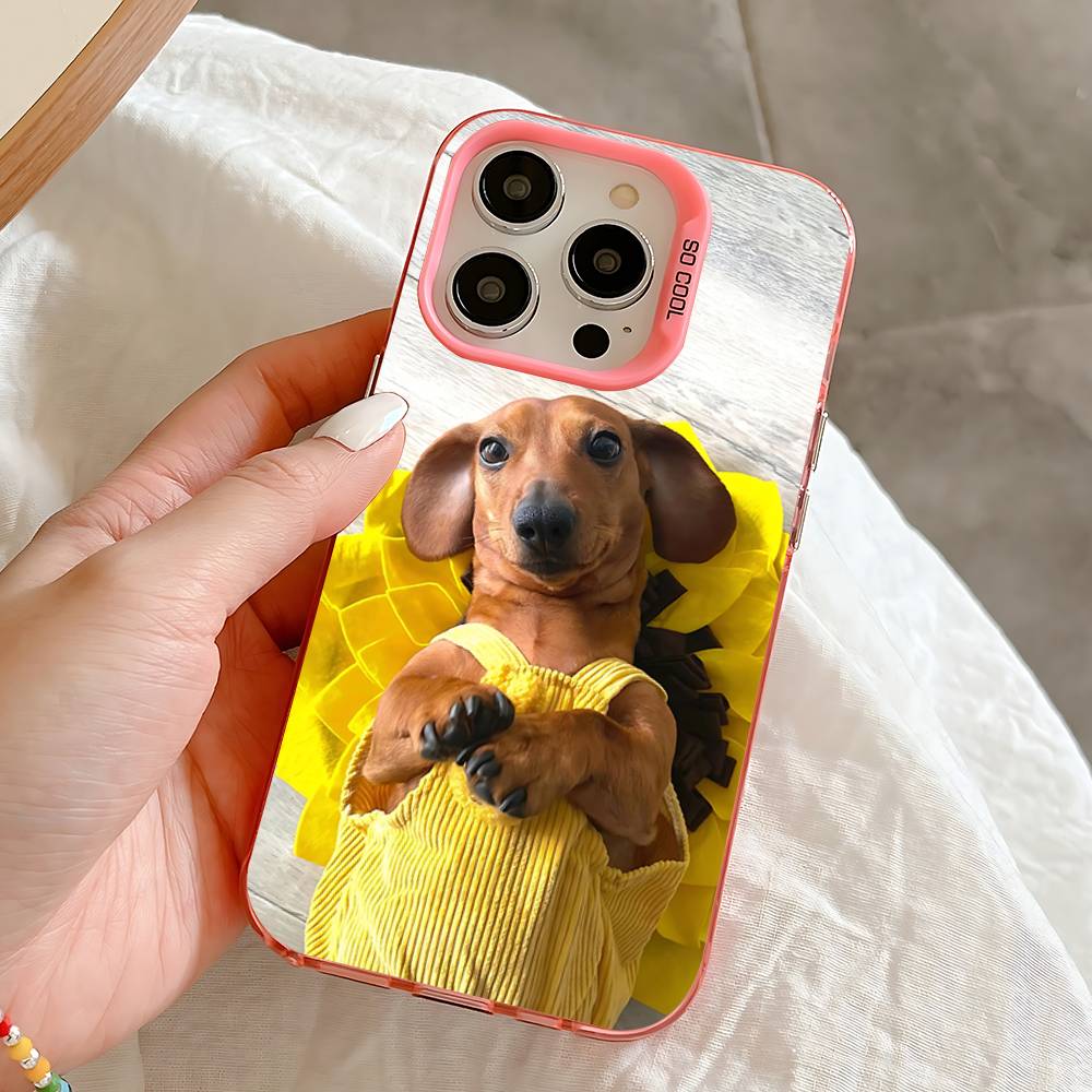 Dachshund Cartoon Case For iPhone 16,15,14,13,12,11,Pro,Max,Plus,Mini,SE Anti Fall Pink Matte Hard Bumper