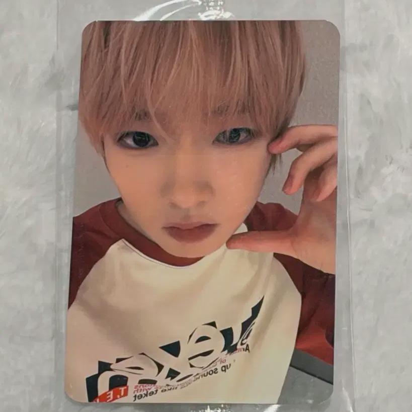 

Ncitywish Nct Wish Color Ketapo Unreleased Photocard Sakuya Photocard