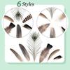 40/48Pcs 6 Styles Natural Feathers Bulk Long Pheasant Plumage Beautifully Mixed Feathers  DIY Crafts