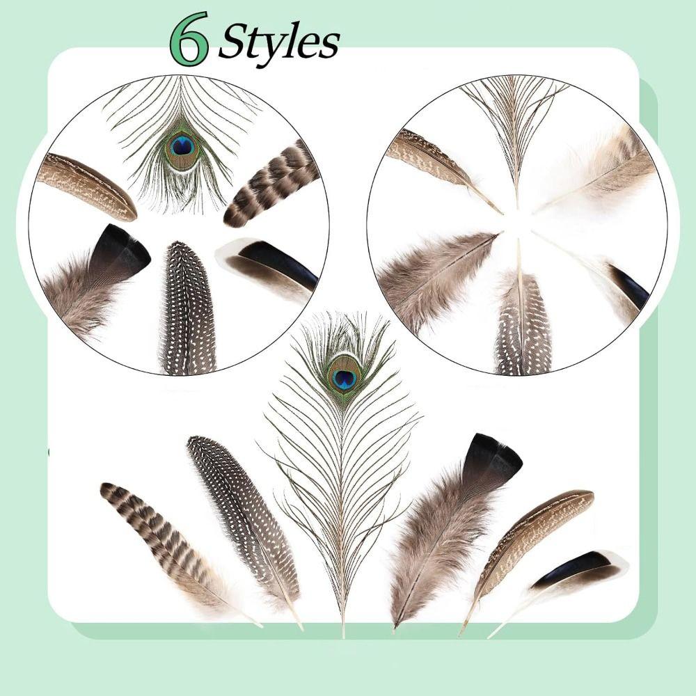 40/48Pcs 6 Styles Natural Feathers Bulk Long Pheasant Plumage Beautifully Mixed Feathers  DIY Crafts