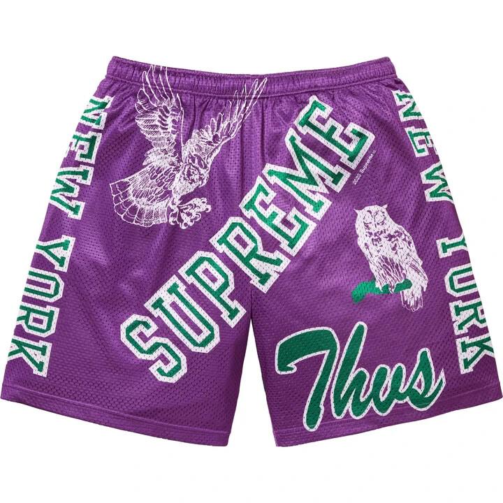 Supreme Varsity Mesh Short Purple S