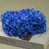 20g Natural Dried Flowers Hydrangea Macrophylla Home Flowers Decoration Wedding Celebration Bouquet Materials