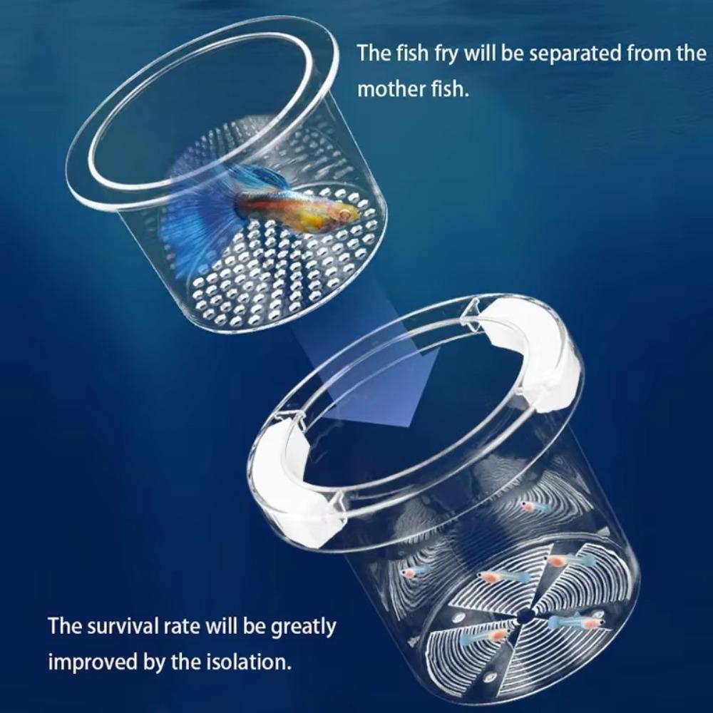 Shrimp Guppy Floating Hatching Box for Aquarium Hatchery Accessory