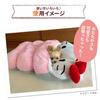 Three Arrows Kitty Mogurin Bed for Dogs and Pink Cats,