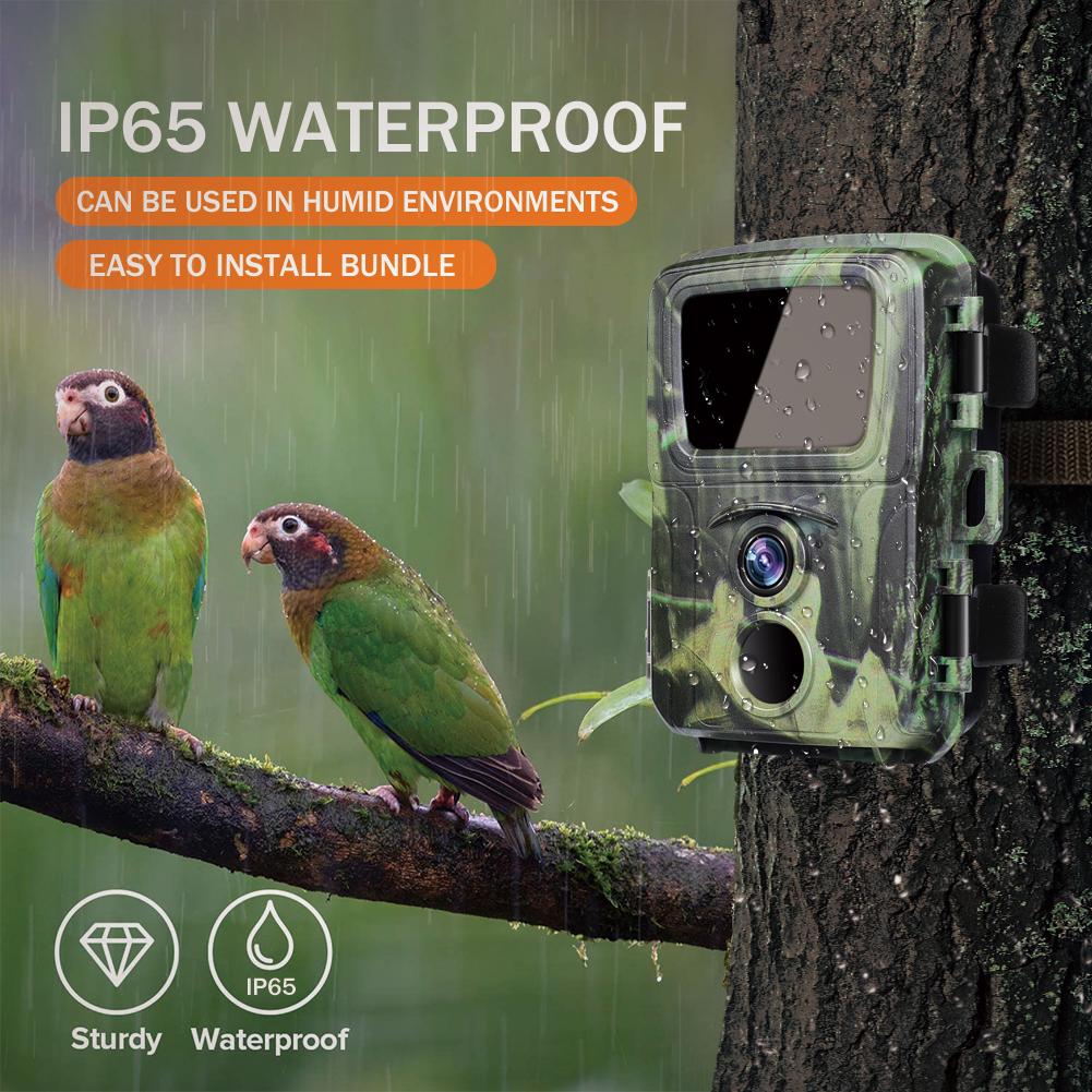 LS VISION מצלמת שביל מיני לציד 20MP 1080P מצלמות חיות בר יער מצלמת צייד פראי Mini600 מלכודת תמונות מעקב מעקב