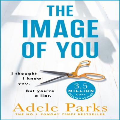 The Image of You by Adele Parks Paperback Book 9781472205575