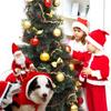 Running Santa Christmas Pet Costumes Santa Dog Costume Dog Apparel Party Dressing Up Clothing for Small Large Dogs Cats Clothes Pet Outfit