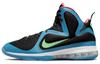 Nike LeBron 9 'South Coast' DO5838-001