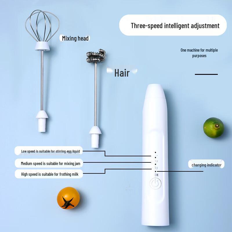 Handheld Electric Milk Frother and Egg Beater
